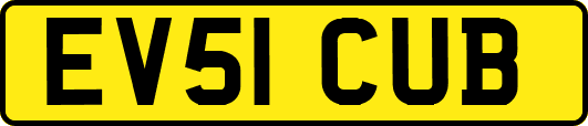 EV51CUB