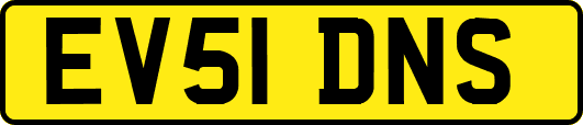 EV51DNS