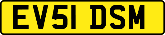 EV51DSM