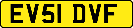 EV51DVF