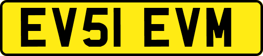 EV51EVM