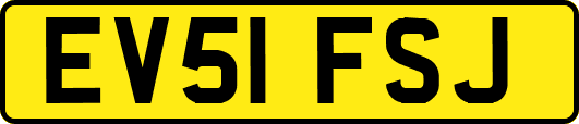 EV51FSJ