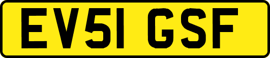 EV51GSF