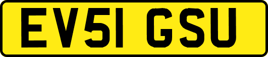 EV51GSU