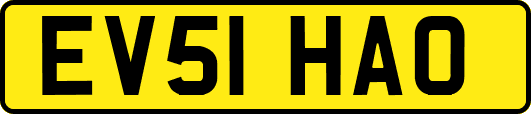 EV51HAO