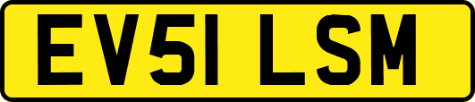 EV51LSM