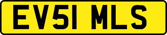 EV51MLS