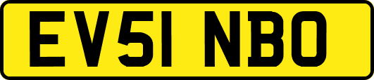 EV51NBO