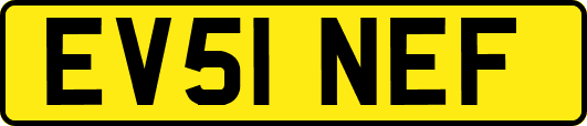 EV51NEF