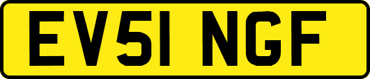 EV51NGF