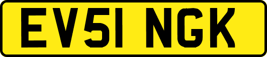 EV51NGK