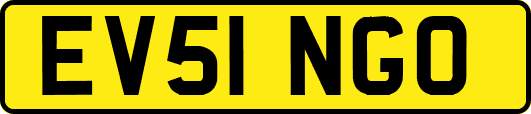 EV51NGO