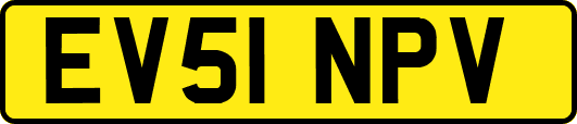 EV51NPV