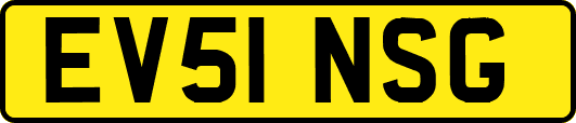 EV51NSG