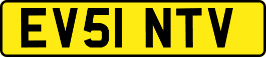 EV51NTV