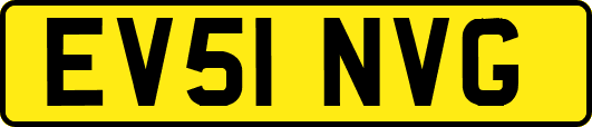 EV51NVG