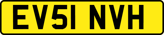 EV51NVH