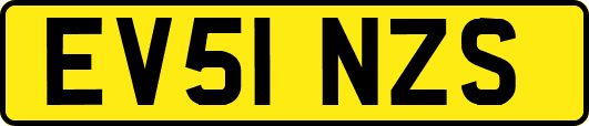 EV51NZS