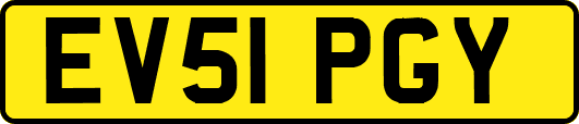 EV51PGY