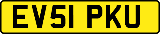 EV51PKU