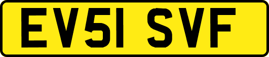 EV51SVF
