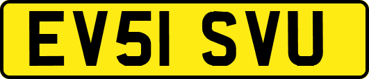 EV51SVU
