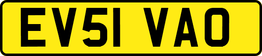 EV51VAO