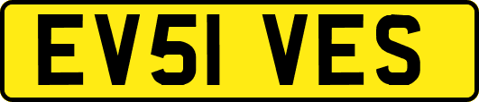 EV51VES