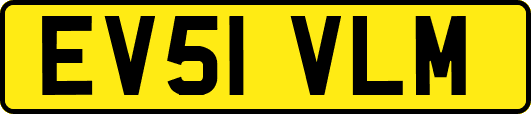 EV51VLM