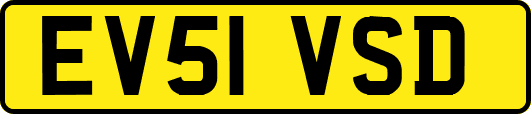 EV51VSD