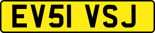 EV51VSJ