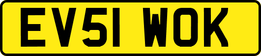 EV51WOK