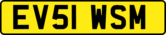 EV51WSM