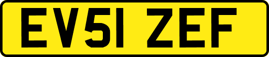 EV51ZEF