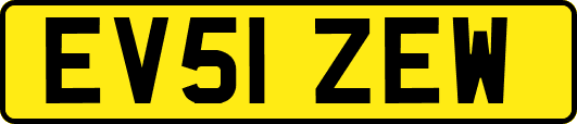 EV51ZEW