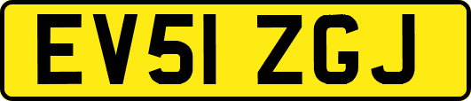 EV51ZGJ