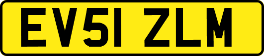 EV51ZLM
