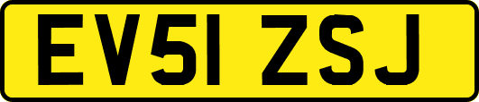 EV51ZSJ