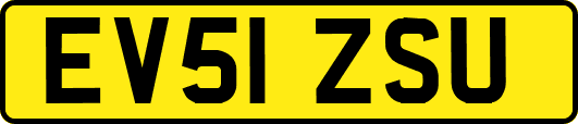 EV51ZSU