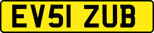 EV51ZUB