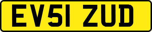 EV51ZUD