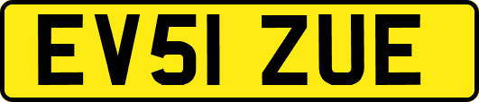 EV51ZUE