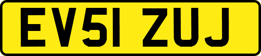 EV51ZUJ