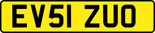 EV51ZUO