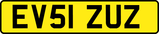 EV51ZUZ