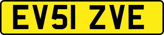 EV51ZVE