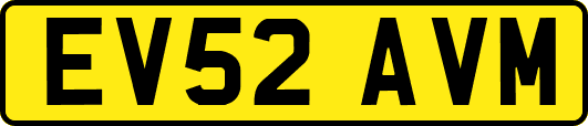 EV52AVM