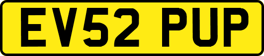 EV52PUP