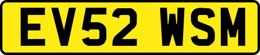 EV52WSM