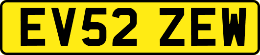 EV52ZEW